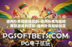 德州扑克和梭哈区别-德州扑克与梭哈，两款游戏的区别-德州扑克和梭哈区别