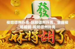 梭哈德州扑克-玩转德州扑克，掌握梭哈精髓-梭哈德州扑克