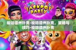 梭哈德州扑克-梭哈德州扑克，策略与技巧-梭哈德州扑克