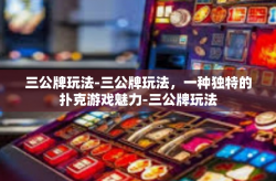 三公牌玩法-三公牌玩法，一种独特的扑克游戏魅力-三公牌玩法