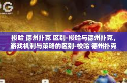 梭哈 德州扑克 区别-梭哈与德州扑克，游戏机制与策略的区别-梭哈 德州扑克 区别