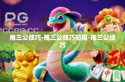 推三公技巧-推三公技巧初探-推三公技巧