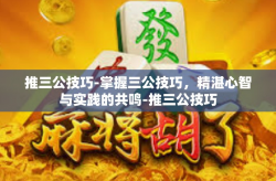推三公技巧-掌握三公技巧，精湛心智与实践的共鸣-推三公技巧