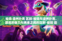 梭哈 德州扑克 区别-梭哈与德州扑克，游戏的魅力与两者之间的区别-梭哈 德州扑克 区别