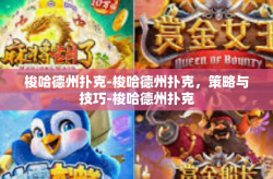 梭哈德州扑克-梭哈德州扑克，策略与技巧-梭哈德州扑克