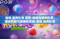 梭哈 德州扑克 区别-梭哈与德州扑克，游戏机制与策略的区别-梭哈 德州扑克 区别