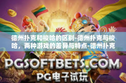 德州扑克和梭哈的区别-德州扑克与梭哈，两种游戏的差异与特点-德州扑克和梭哈的区别