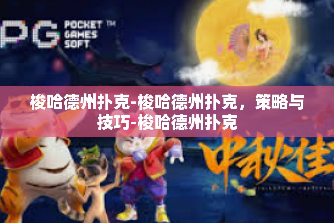 梭哈德州扑克-梭哈德州扑克，策略与技巧-梭哈德州扑克