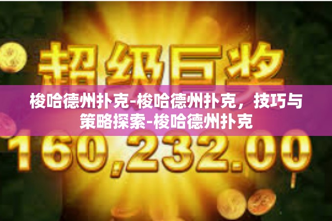 梭哈德州扑克-梭哈德州扑克，技巧与策略探索-梭哈德州扑克