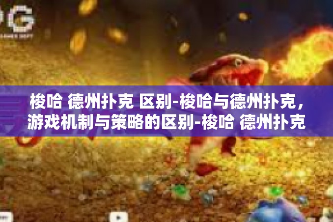 梭哈 德州扑克 区别-梭哈与德州扑克,游戏机制与策略的区别-梭哈 德州扑克 区别 梭哈 德州扑克 区别-梭哈与德州扑克,游戏机制与策略的区别-梭哈 德州扑克 区别