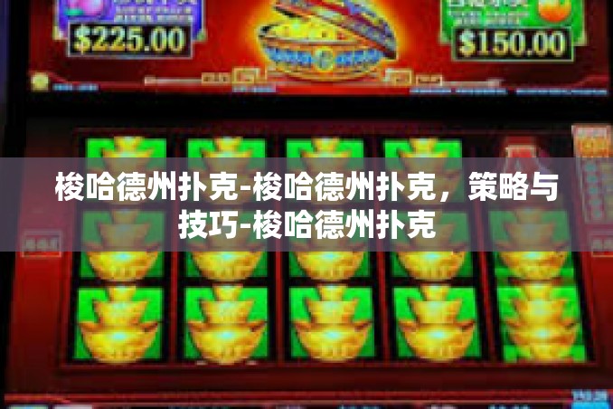 梭哈德州扑克-梭哈德州扑克,策略与技巧-梭哈德州扑克 梭哈德州扑克-梭哈德州扑克,策略与技巧-梭哈德州扑克